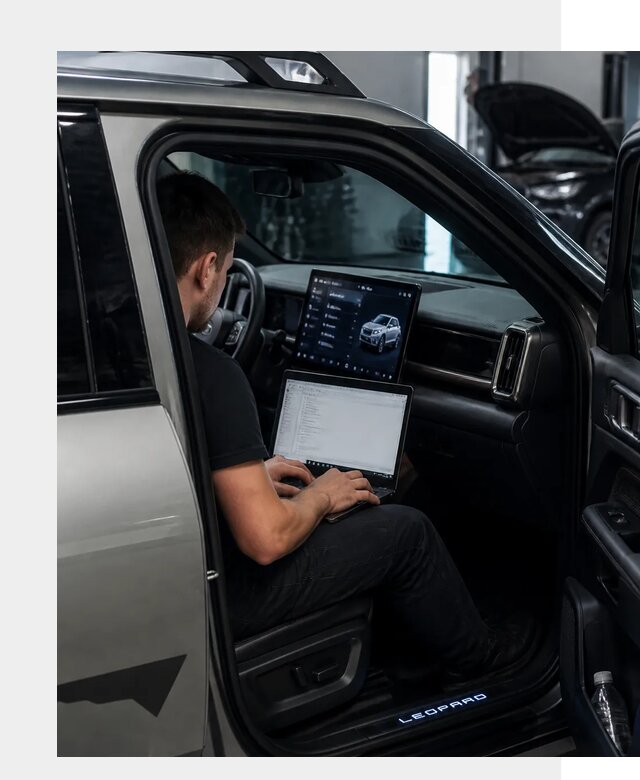 Русификация BYD Leopard 3 в Казани по цене от 21128 р. | ФастМобиль-Кзн